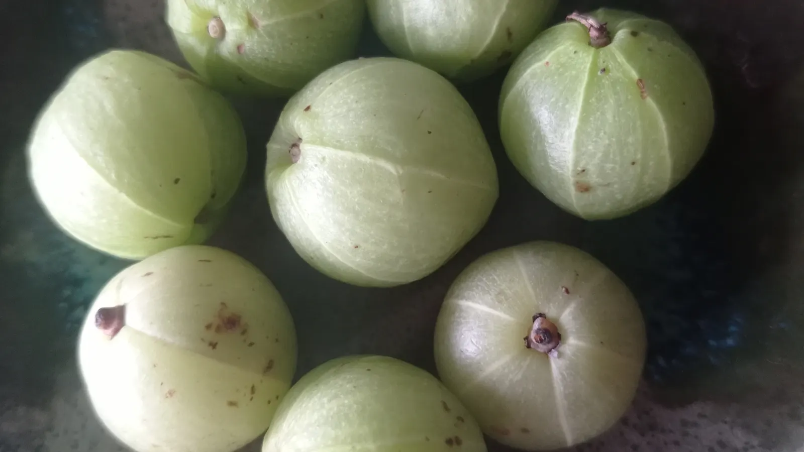 Amla Powder: Uses, Vitamin C Claims and Formulation Tips for Food Brands